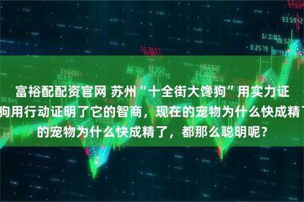 富裕配配资官网 苏州“十全街大馋狗”用实力证明了苏州的美食！狗用行动证明了它的智商，现在的宠物为什么快成精了，都那么聪明呢？