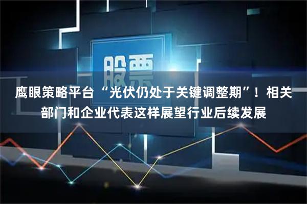 鹰眼策略平台 “光伏仍处于关键调整期”！相关部门和企业代表这样展望行业后续发展