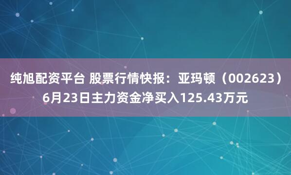纯旭配资平台 股票行情快报：亚玛顿（002623）6月23日主力资金净买入125.43万元