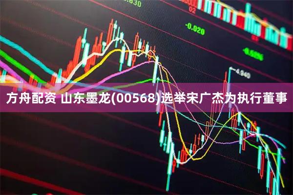 方舟配资 山东墨龙(00568)选举宋广杰为执行董事