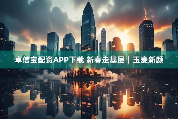 卓信宝配资APP下载 新春走基层｜玉麦新颜