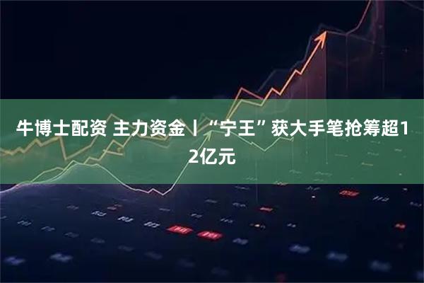 牛博士配资 主力资金丨“宁王”获大手笔抢筹超12亿元