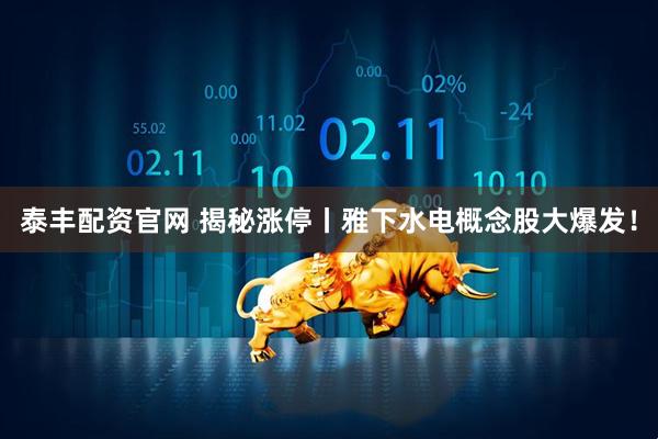 泰丰配资官网 揭秘涨停丨雅下水电概念股大爆发！