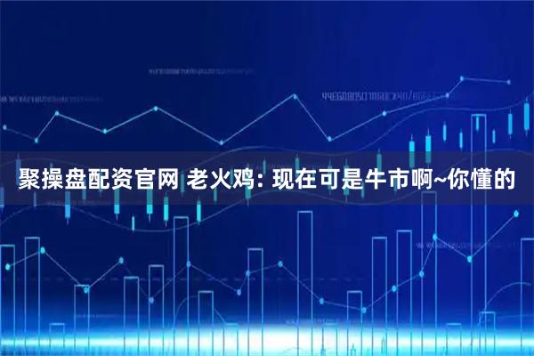 聚操盘配资官网 老火鸡: 现在可是牛市啊~你懂的