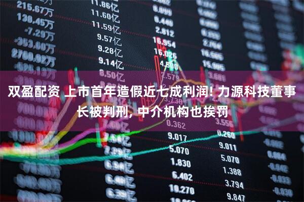 双盈配资 上市首年造假近七成利润! 力源科技董事长被判刑, 中介机构也挨罚